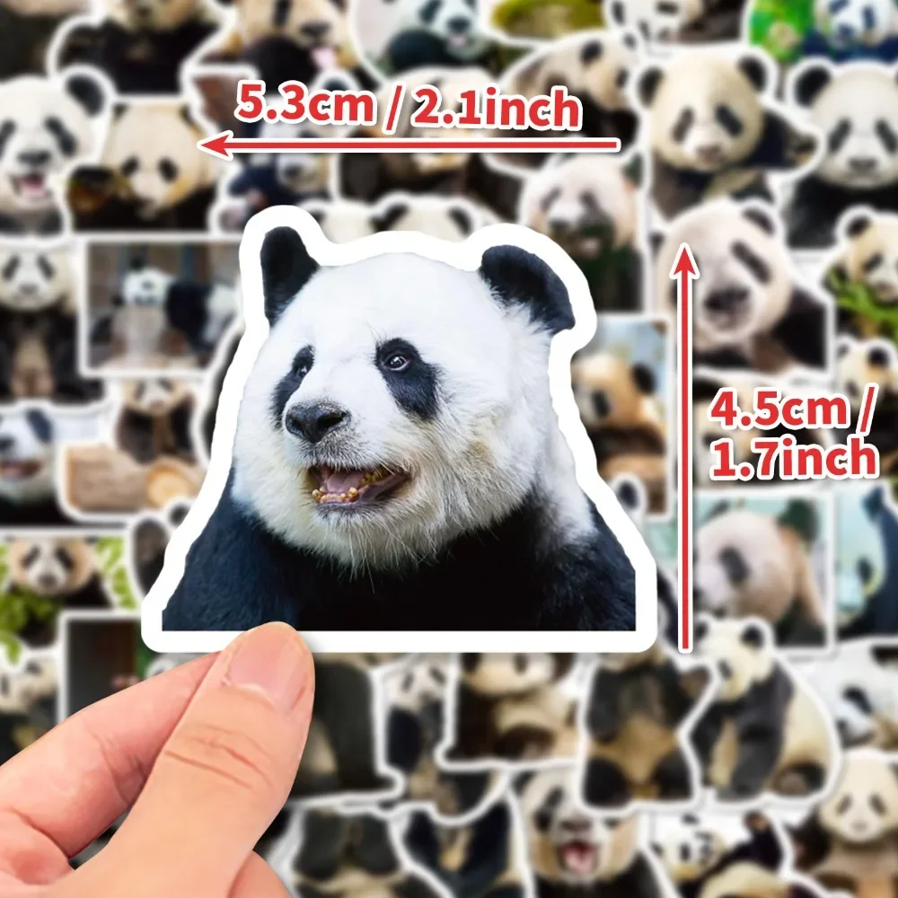 Cute Panda Stickers- 50PCS Cartoon Waterproof Graffiti Animal Decals DIY Laptop Phone Skateboard  Car Sticker for Kids