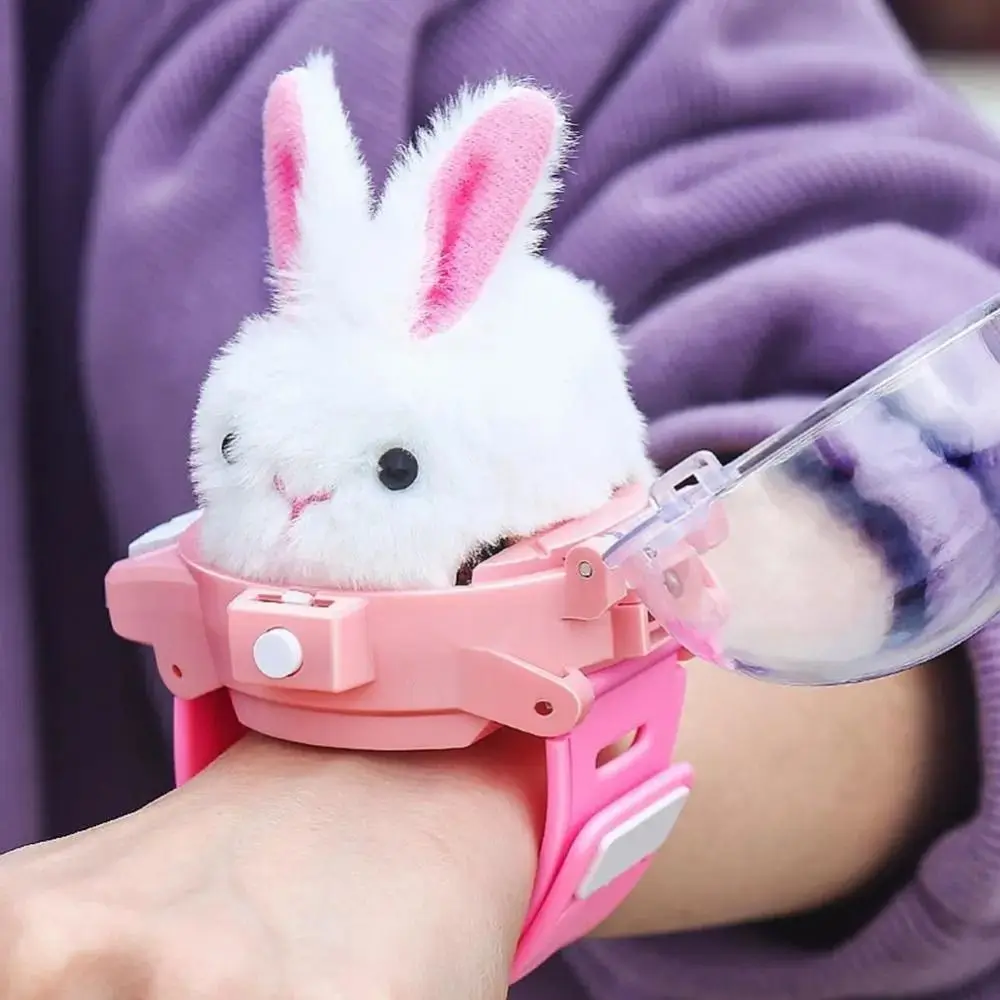 

3D Cartoon Children RC Car Mini Watch Toys Cute Pet Car Plush Kapibala Watch Electric Toy USB Charging Remote Control Toy