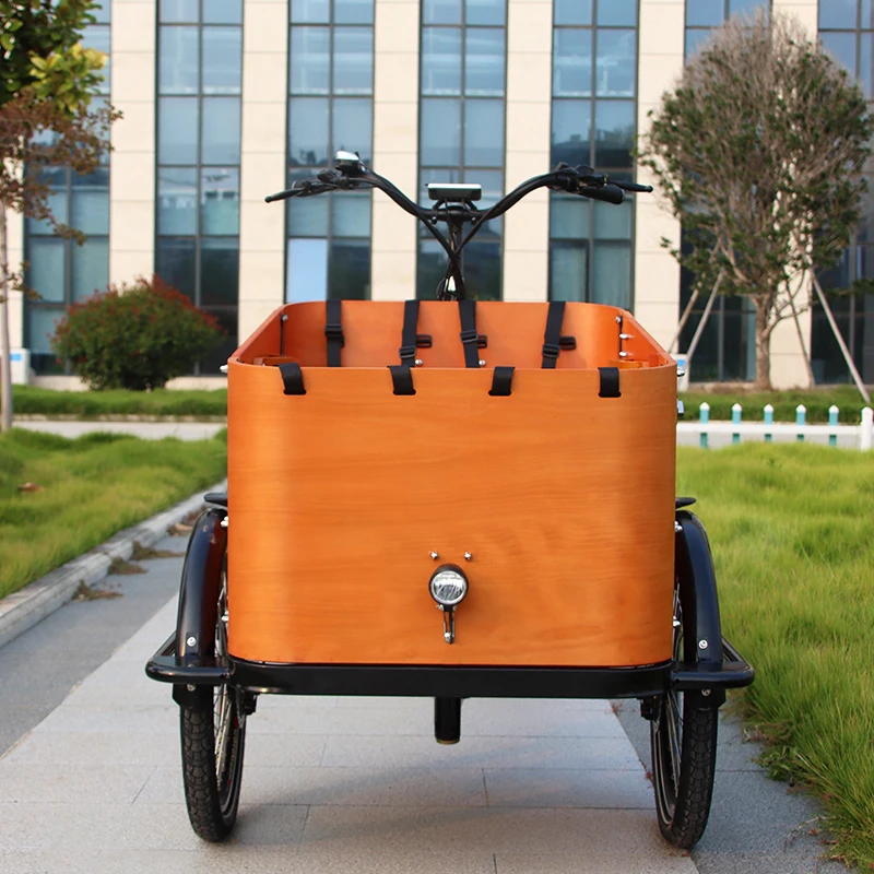 Electric Cargo Bike 3 Wheel Family Cargo Bike
