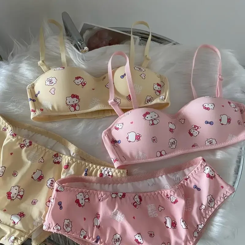 Sanrios Hellokittys Cartoon French Anti-slip Underwear Women Anime Kawaii Small Breasts Push-up Comfortable Wire-free Bra Set