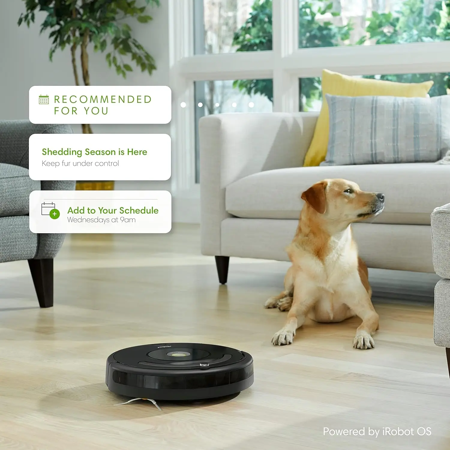 671020 Robot Vacuum with Wi-Fi Connectivity, Works with Alexa, Good for Pet Hair, Carpets, and Hard Floors