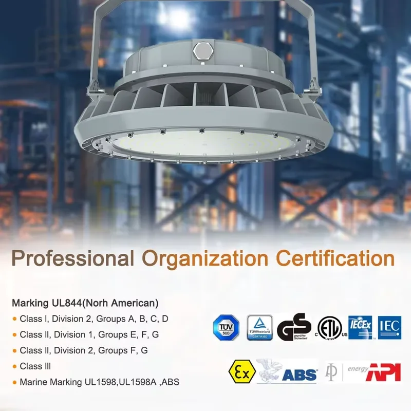 IP66 Industrial 300W Luminaire Waterproof Led Lamp Explosion-Proof Lights for Offshore Oil Mining Petrol Process Factor