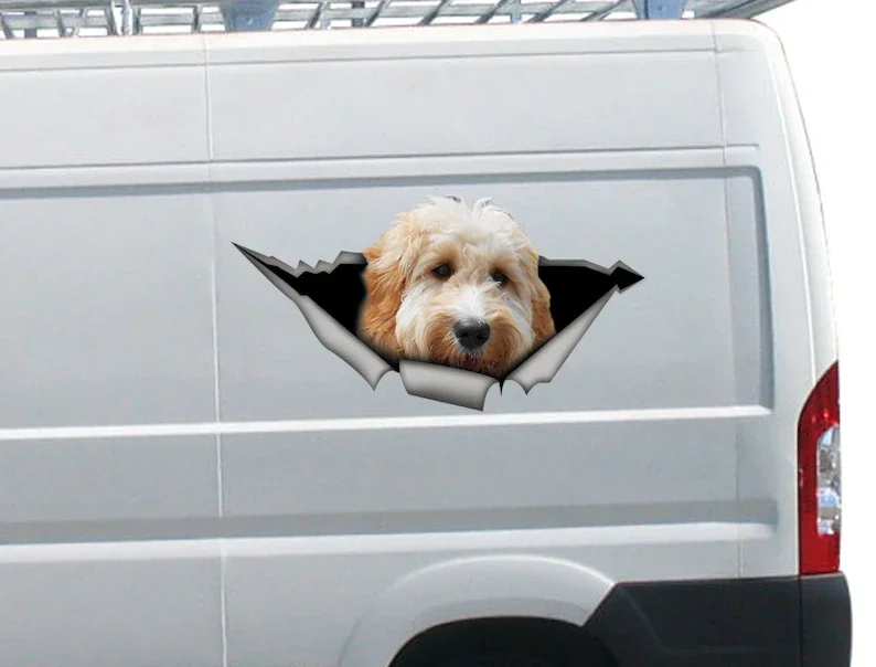 White Goldendoodle car decal, 3D sticker , pet decal, dog decal