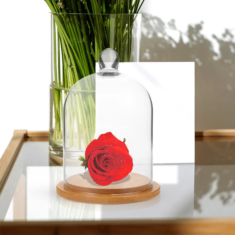 

2Pcs Delicate Glass Dome Cover for Immortal Flowers Preserved Floral Arrangements Lipstick Display LED Light Landscape DIY Decor