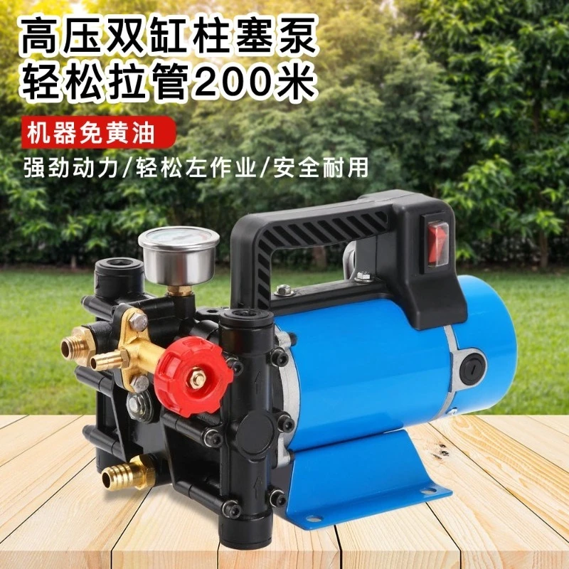 Portable Double Cylinder High Pressure Plunger Pump 12V-220V Electric Sprayer For Crop Spraying