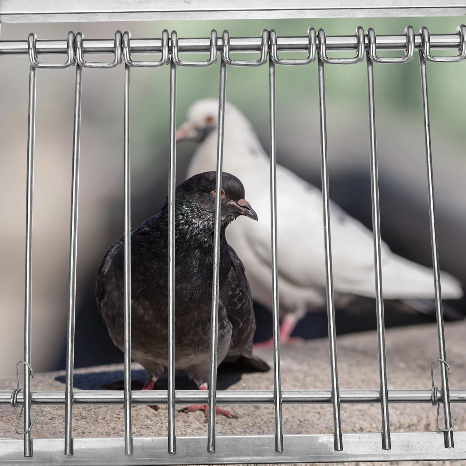 鳩ケージドアステンレス鋼自動住宅機器金属鳩入口レーシングペットドア供給