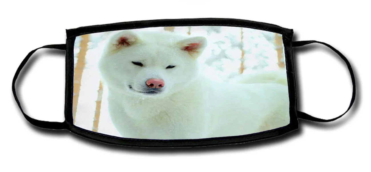 MERCHANDMANIA reusable hygienic mask SHIBA INU White Japanese dog box regulator proteccion tapabocas