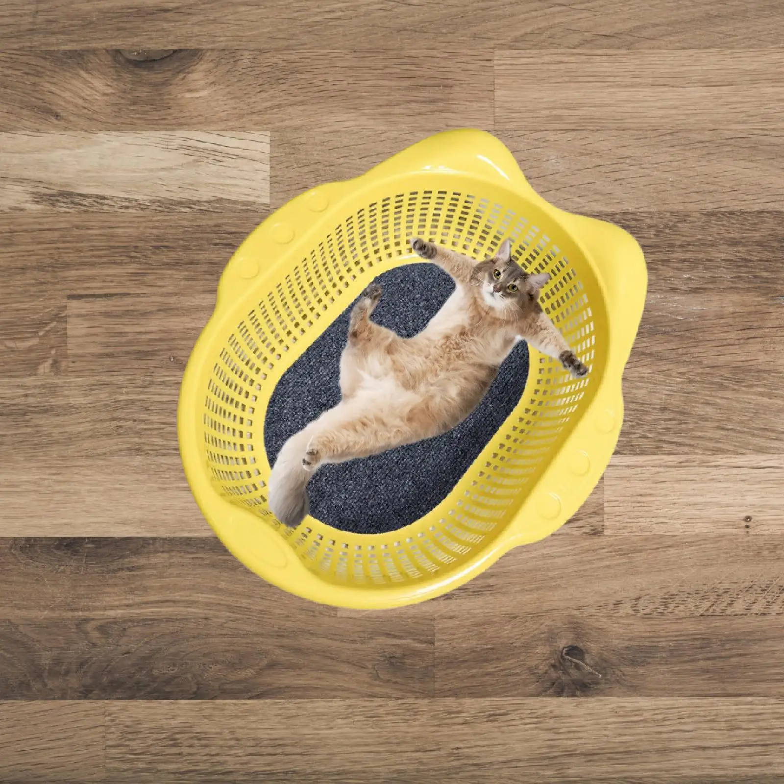 Cesta rústica con cojín para gatos y perros pequeños – Interior y cachorros - imagen 5