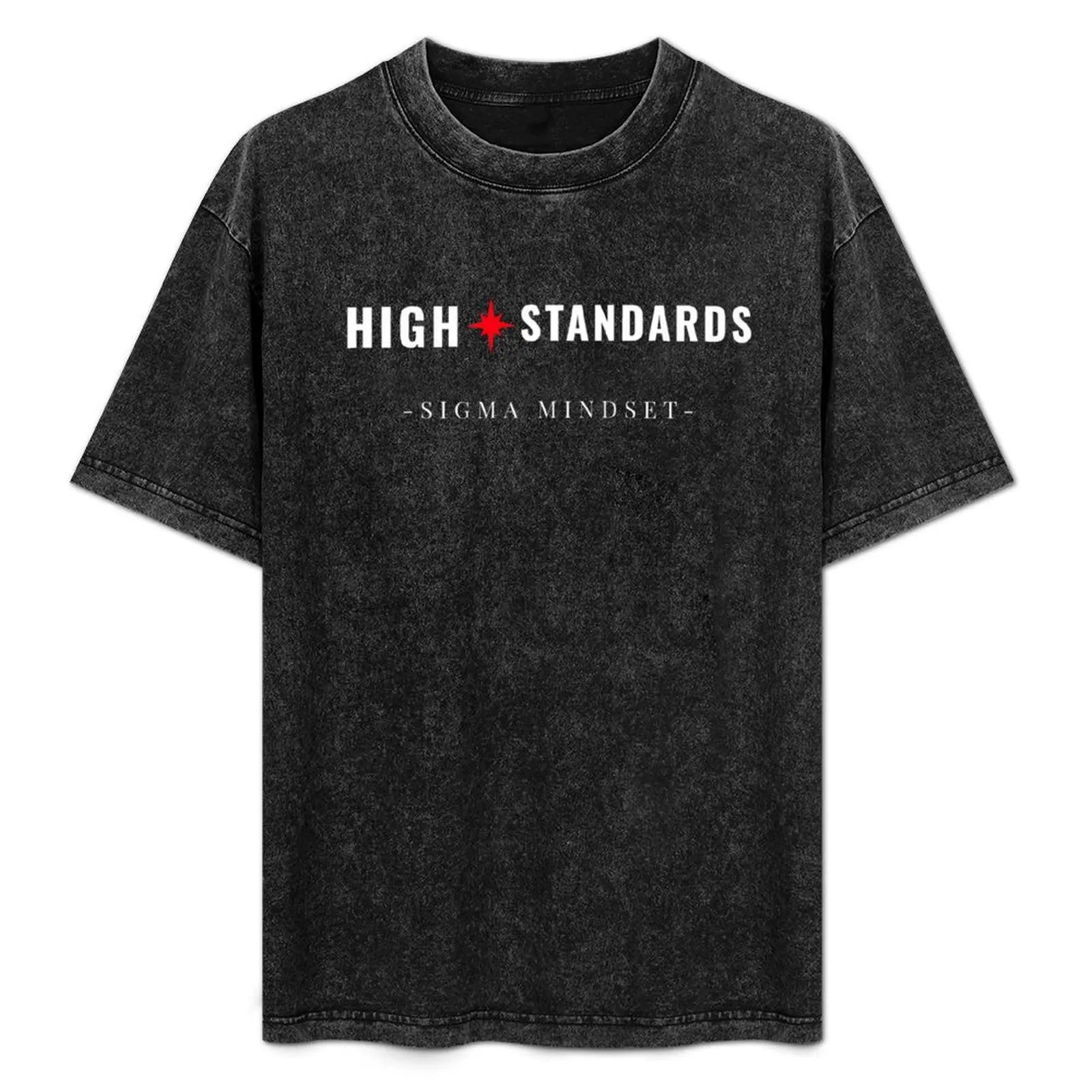 High Standards - Sigma Male T-Shirt customizeds tees heavyweights vintage anime shirt mens graphic t-shirts big and tall