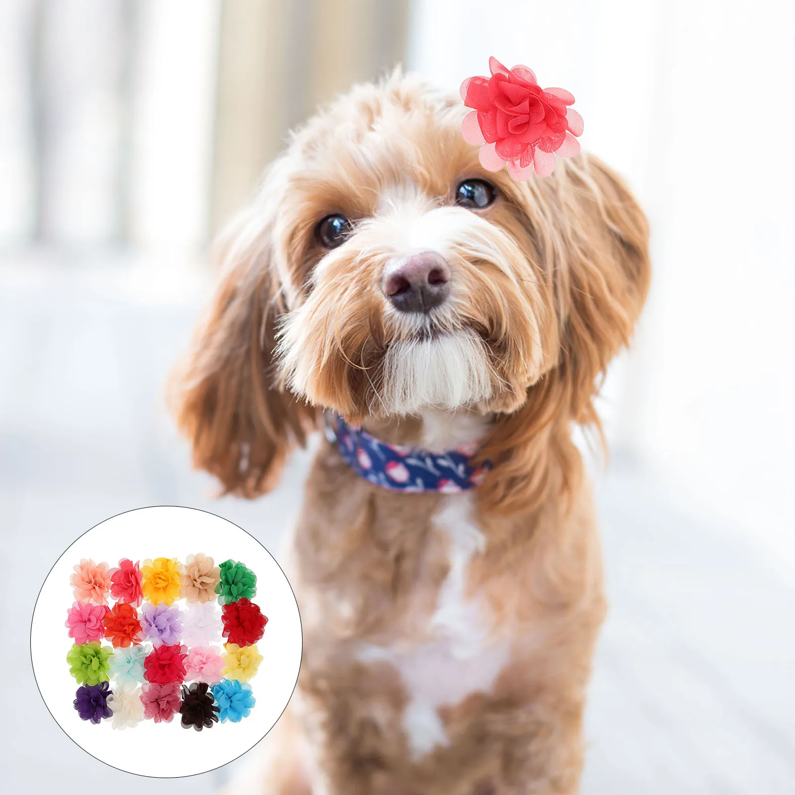 

20 Pcs Pet Decorative Hair Clips Floral Accessories Colorful Barrettes Claw Metal Flower Mini Decorations