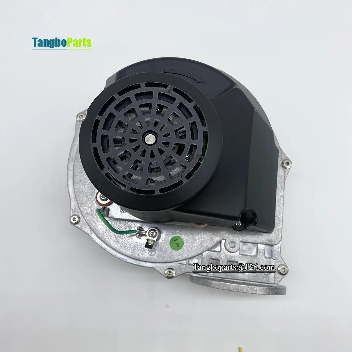 أجزاء موقد الموقد المتوافقة مع RG-148 230V FL 148029 D-01D موقد 200 واط مروحة نفخ الغاز مع محافظ