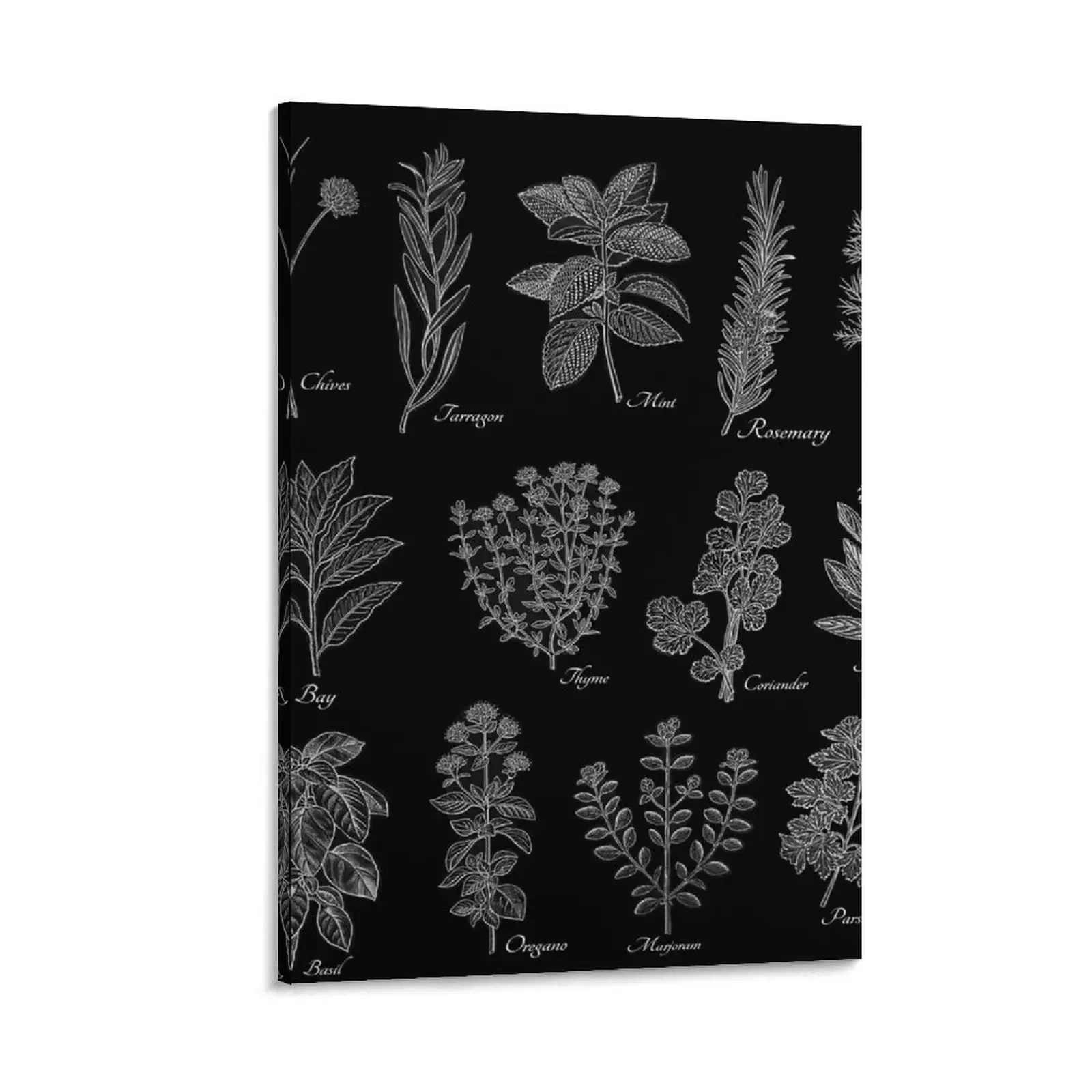 

Cooking Herbs used in the Kitchen Canvas Painting wall art canvas painting ornaments for home room decor