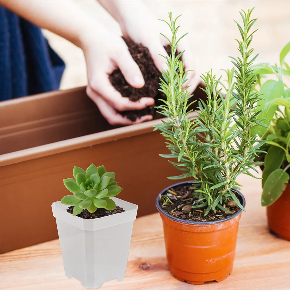 

20 Pcs Square Basin Seedling Pot Plant Pots Indoor Clear Nursery Pp Plastic Plants