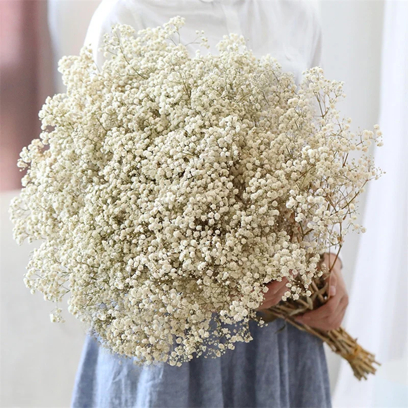 

Natural Fresh Gypsophila Paniculata Dried Preserved Flowers Baby's Breath Flower Bouquets Gift for Wedding Decoration Home Decor