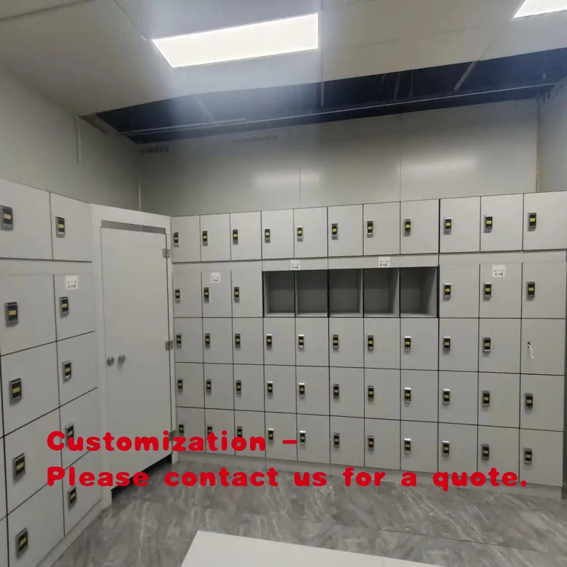 custom.DEBO School Lockers with HPL Panels Electronic Lock Durable Schools Stadiums Gyms & Sports