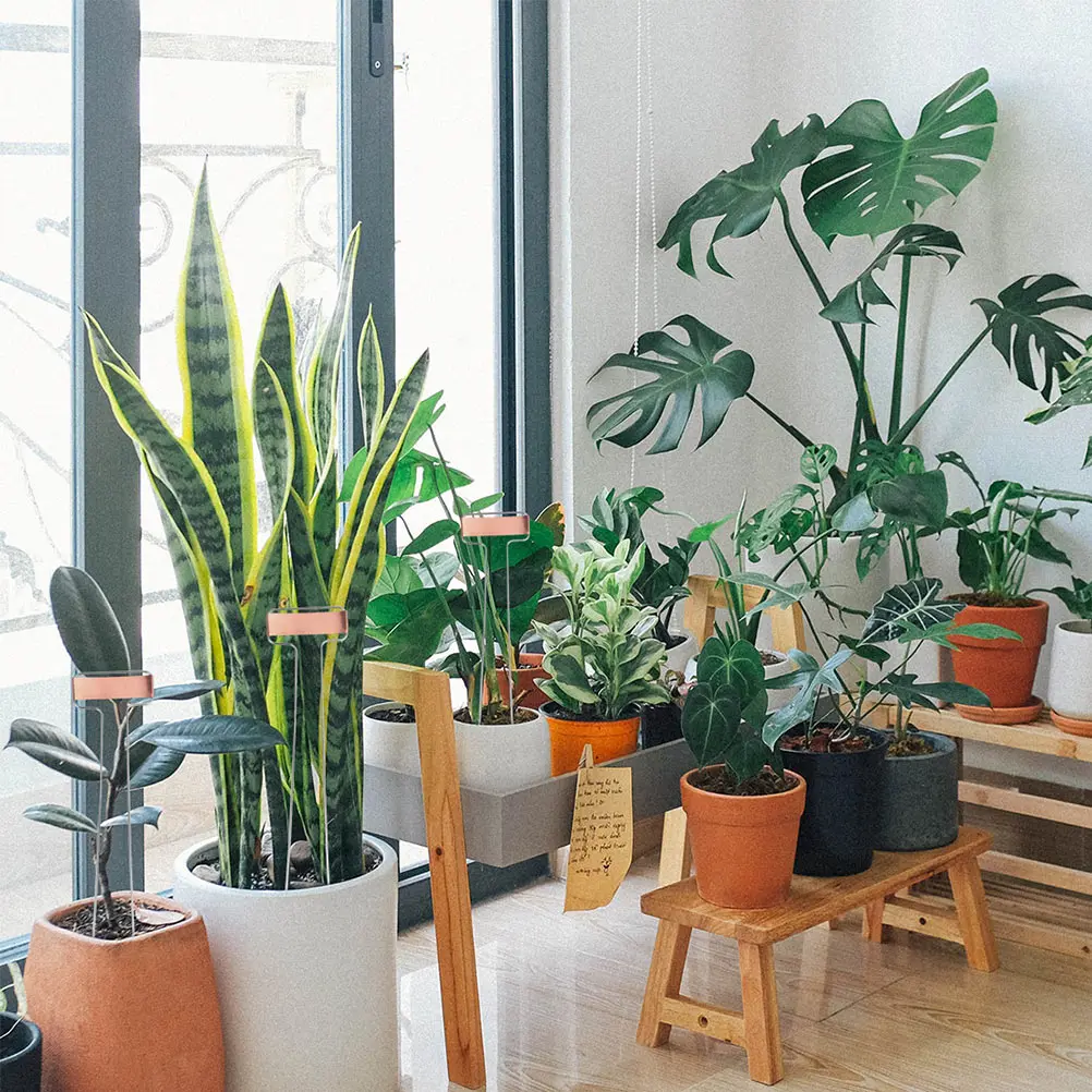 

15Pcs Plant Labels Metal Garden Tags Reusable Waterproof and Sunproof for Plant Classification Stainless Steel Insert Cards