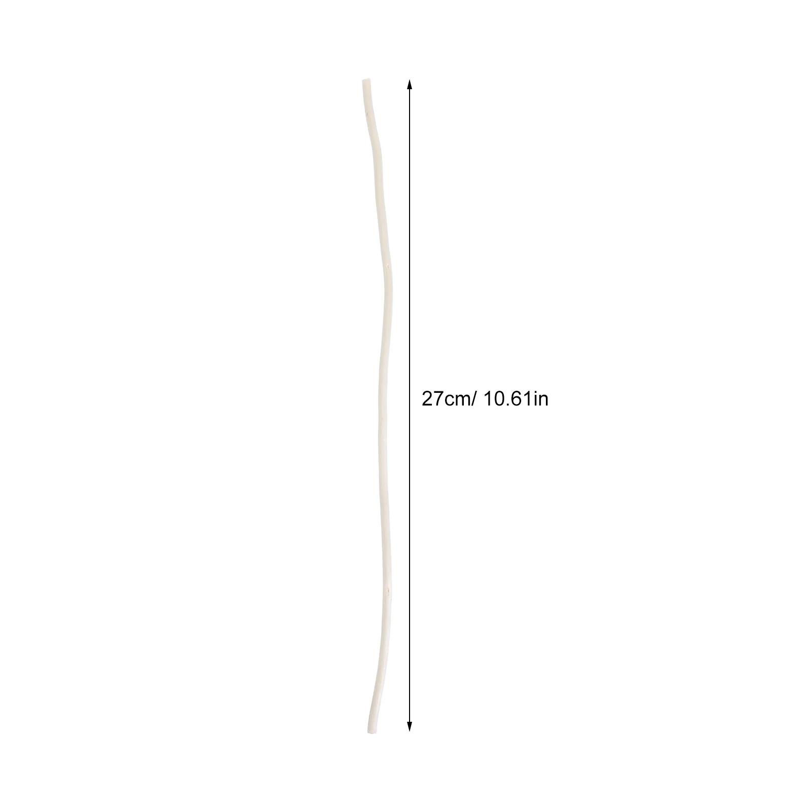 50 قطعة فروع الصفصاف المجففة هيرين زن الغلاف الجوي تنوعا الزخرفية استخدام منخفضة صيانة الجمال زهرية حشو Crafts بها بنفسك الحرف