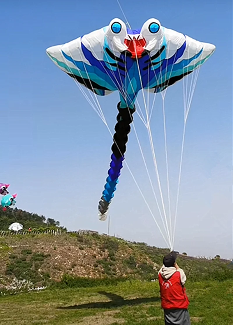 Kite diabo inflável profissional, Kite grande para adultos, Ray Fish Kite, brinquedos dobráveis, frete grátis