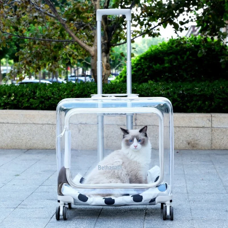 

Pets Suitcase Cat Bag Large Transparent Backpack Trolley for Dogs Puppy Carrier Outdoor Travel Accessories Cats Pet Products