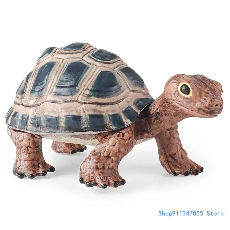 

Detailed Tortoise Figure Perfect for Educational Display Widgets Miniatures Educational Toy Figurine Drop shipping