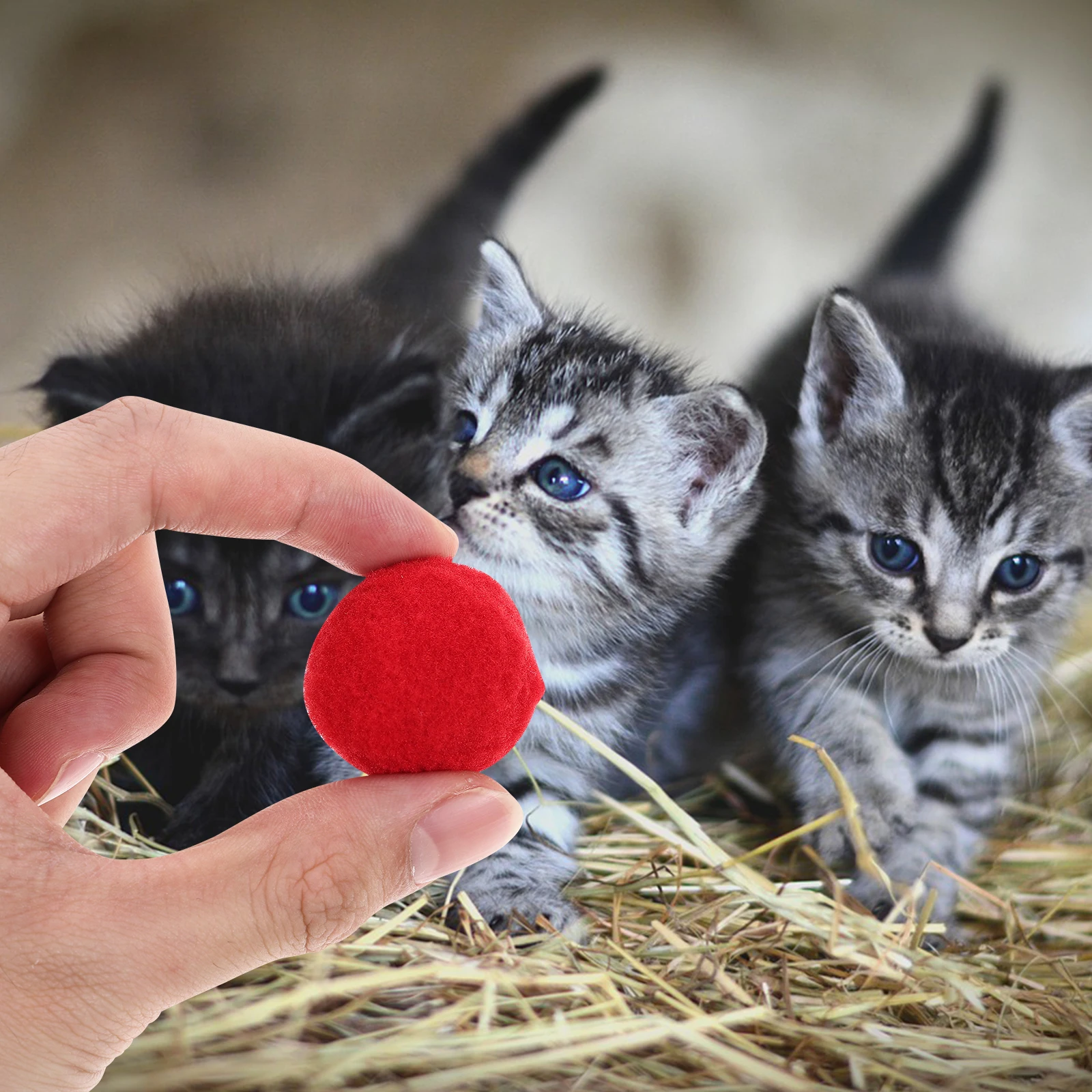 

70pcs Cat Multi-colored Fuzzy for Indoor Cats Interactive Cat Balls Scratching Pet Toys Kitten Training