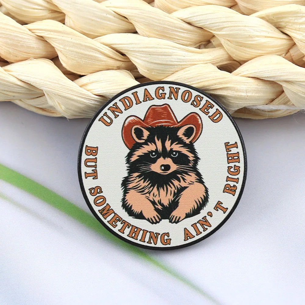 Lustige Waschbär-Emaille-Pin „Nicht diagnostiziert, aber irgendetwas stimmt nicht“ Brosche Niedlicher Cowboy Trash Panda Abzeichen Metall-Anstecknadel Schmuck Geschenk – Detail 8