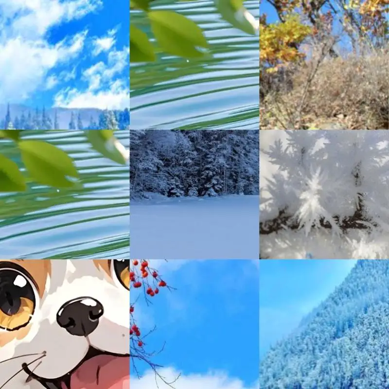 

Computer Graphics Card Holder Wear Resist Graphics Card Support Frame Video Card Support Rack for DIY Computer Assembly