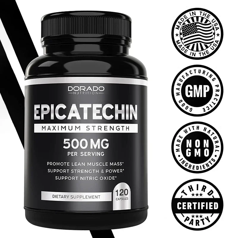 Epicatechin Capsules 500 Mg Per Serving - (120 Capsules) - Supports Lean Muscle, Nitric Oxide, Carnosine Inhibitors, Endurance