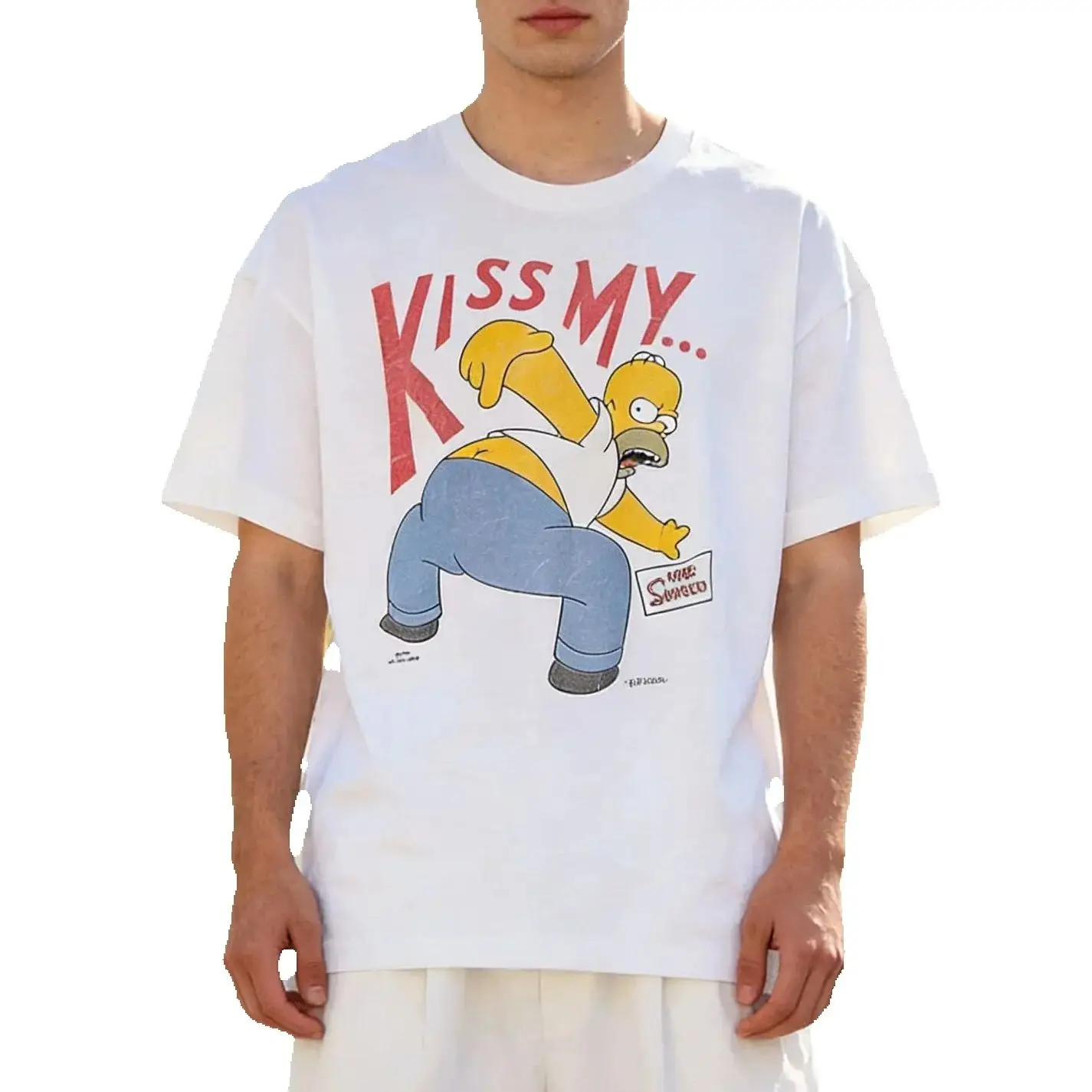 The Simpsons Homer …