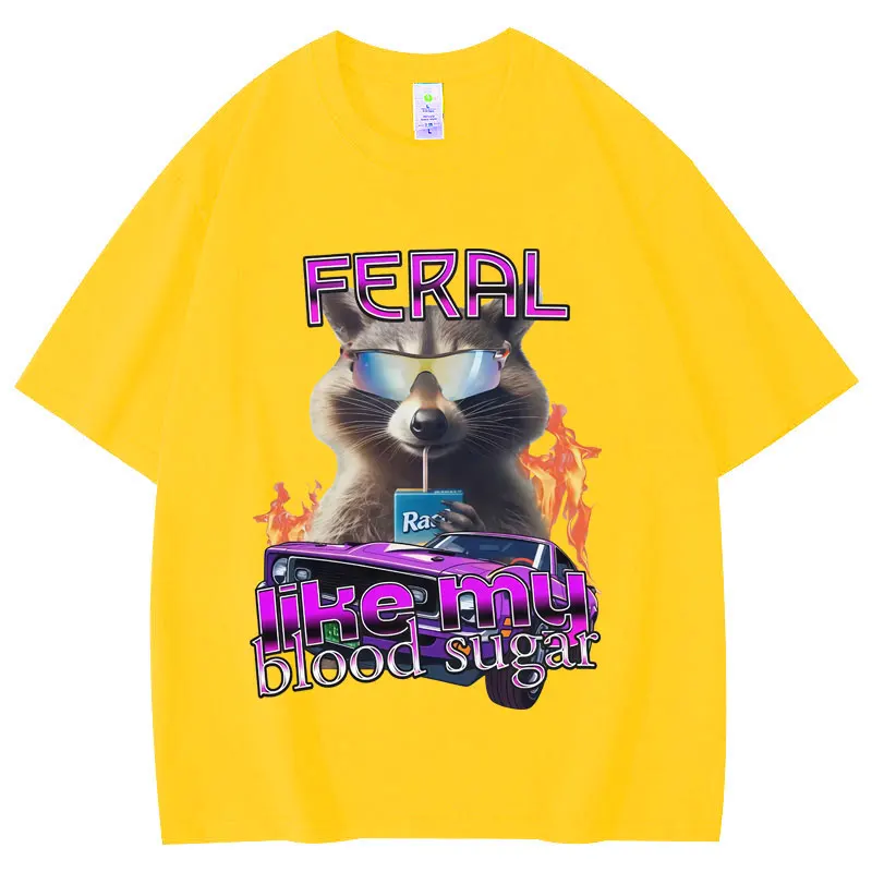 Funny Diabetes Raccoon Meme Graphic T Shirts Women Clothing Fashion Y2k T-shirt Summer Casual T-shirts Graphic T Shirts Y2K Top