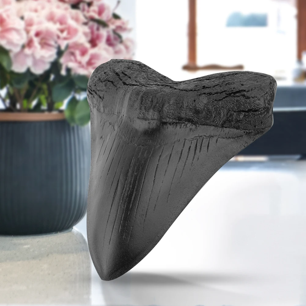 Modelo de dientes de tiburón de 5 pulgadas para decoración del hogar, dientes de Megalodon gigantes, accesorios de enseñanza de bología marina, dientes de tiburón de resina para niños
