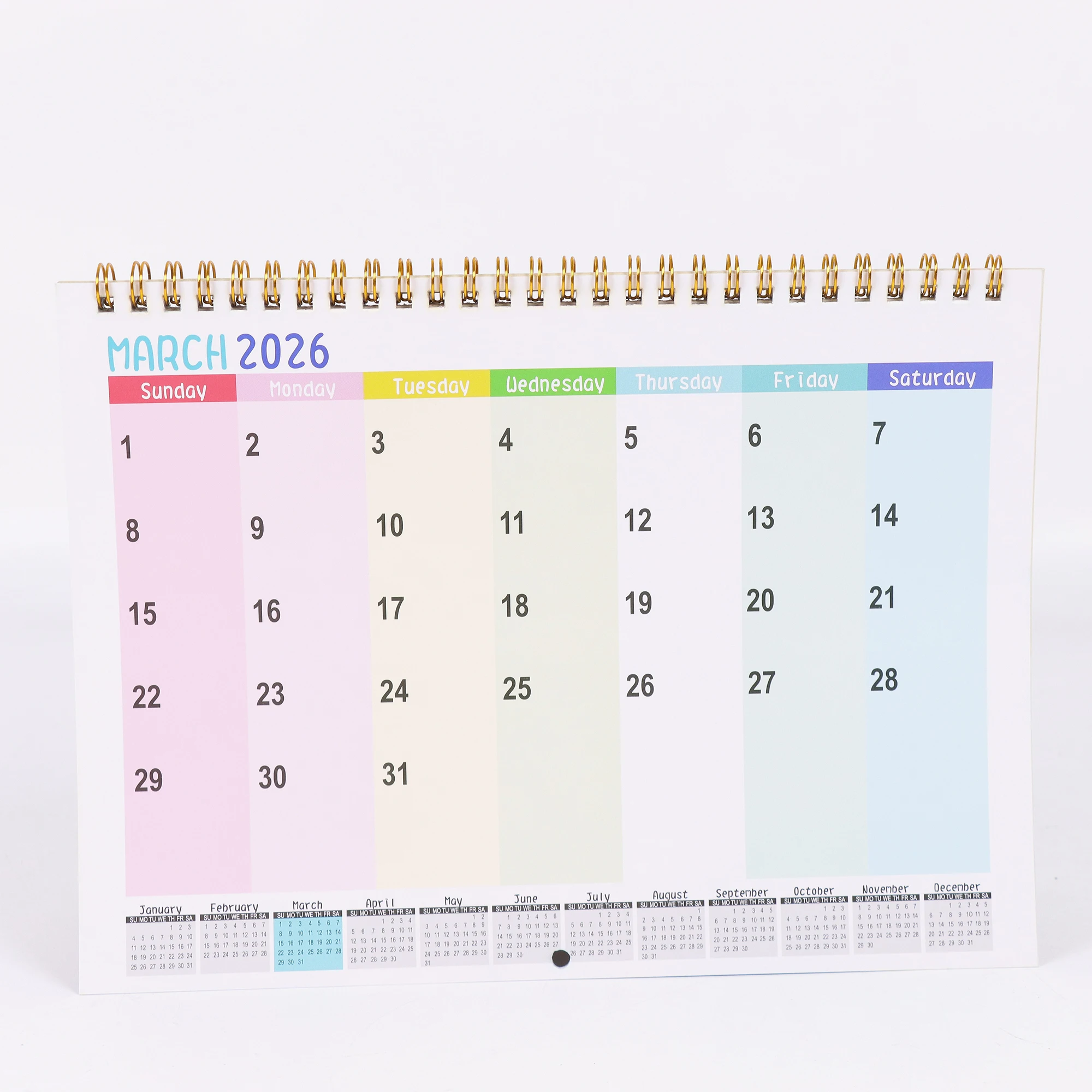 Calendario da parete 2026 Cat and Friends - Fun Cat Selfie Series, 12 mesi di foto, regalo perfetto per gli amanti dei gatti, lingua inglese