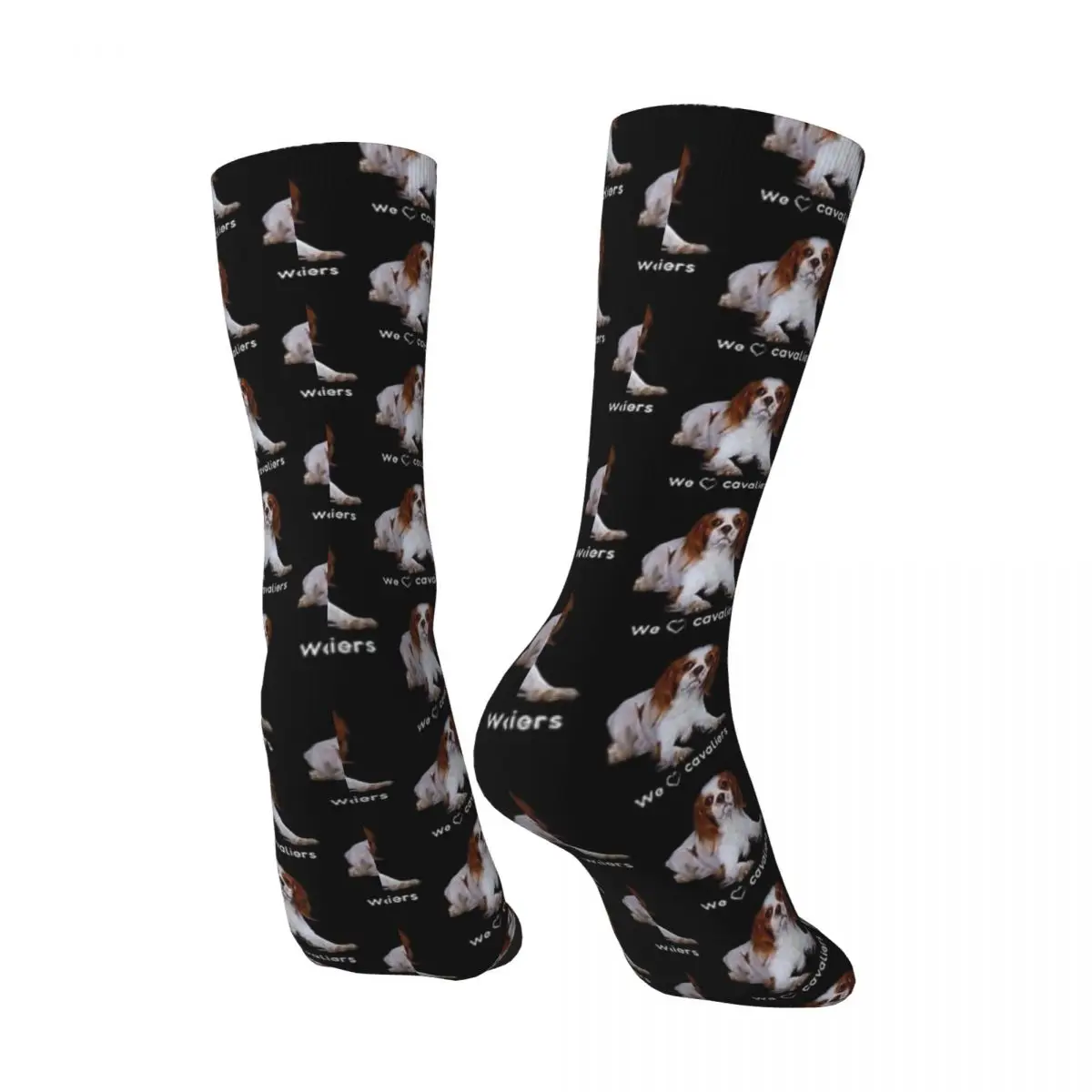 Cavalier King Charles Spaniel Looking Up Socks Kawaii Pet Leisure Stockings Spring Anti Bacterial Men Socks Outdoor Sports Socks