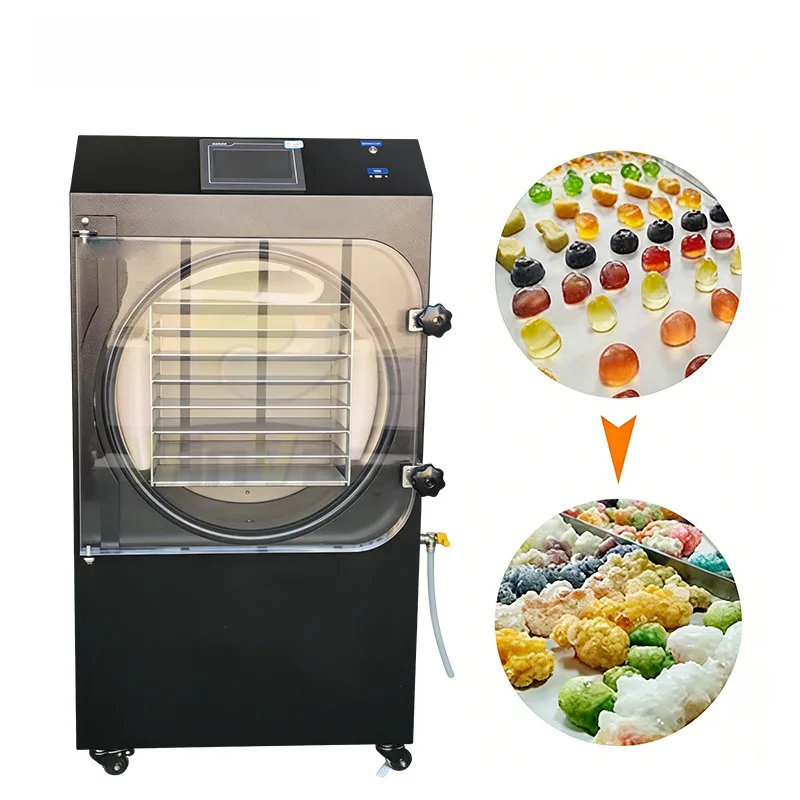 Multi-Function Vacuum For Processing Food Freeze Dryer