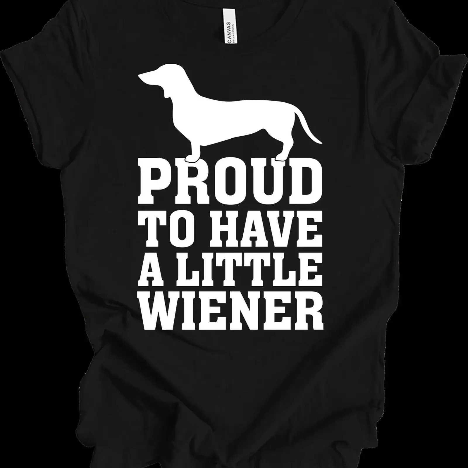 Proud Little Wiener Dachshund T Shirt Funny Mountain Biking Dog Lover Doxie vintage Washed streetwear Soft designer clothes