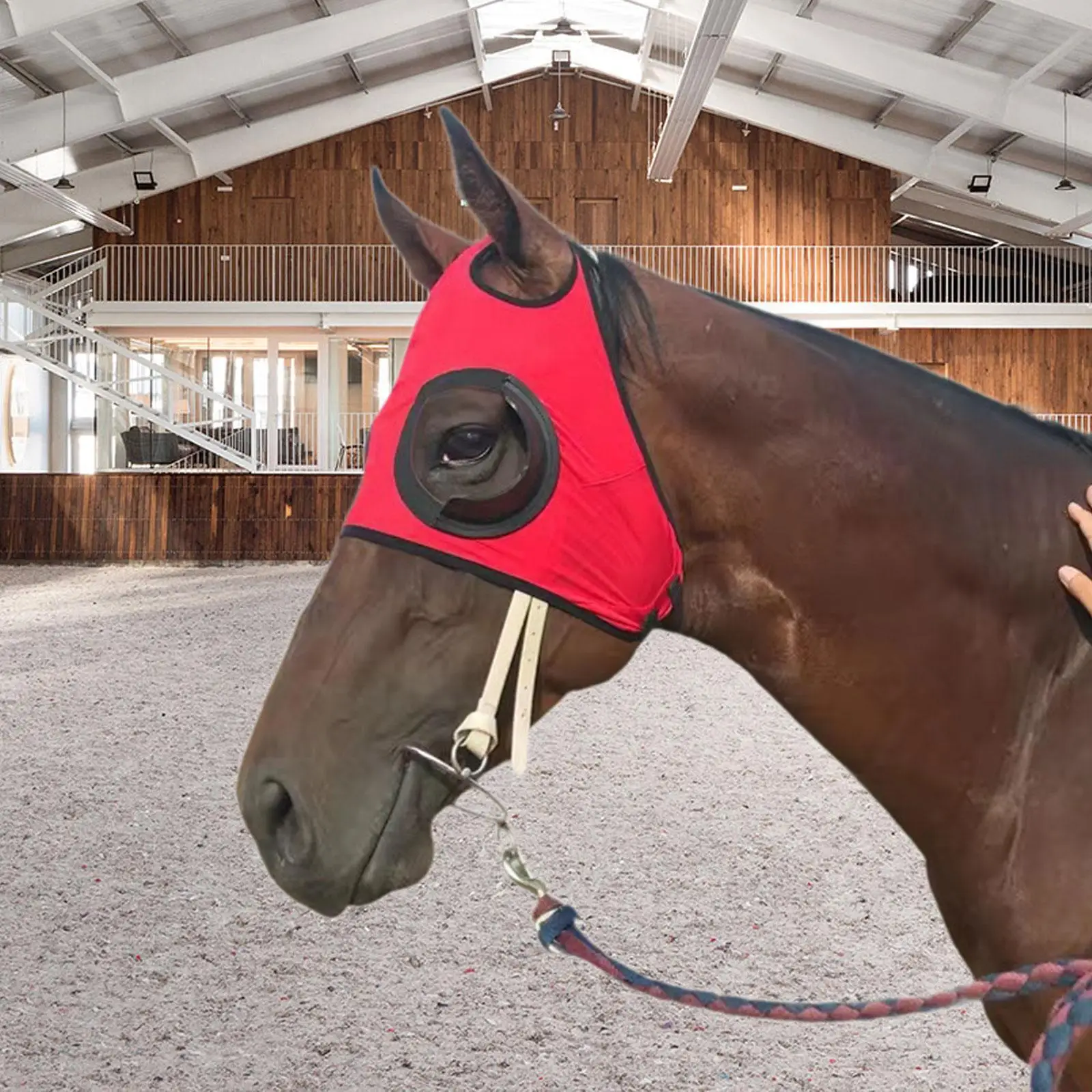 نظارات ركوب الخيل، ستائر الخيول الاحترافية المحمولة المقاومة للرياح، غطاء عين الحصان، قناع ذبابة الخيل خفيف الوزن