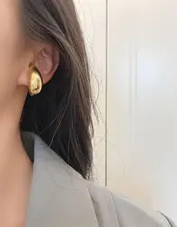 Titanium Geo Statement Clip Earrings Women Stainless Steel Jewelry Punk Party Runway rare Boucle  Korean Japan Hiphop Top Fancy
