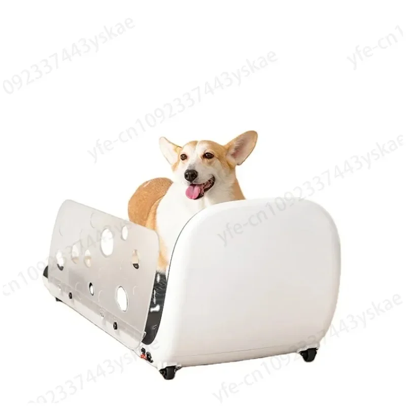 Factory Direct Sale Temperature Adjustment Dog Running Machine Pet Treadmill With Feeding Function