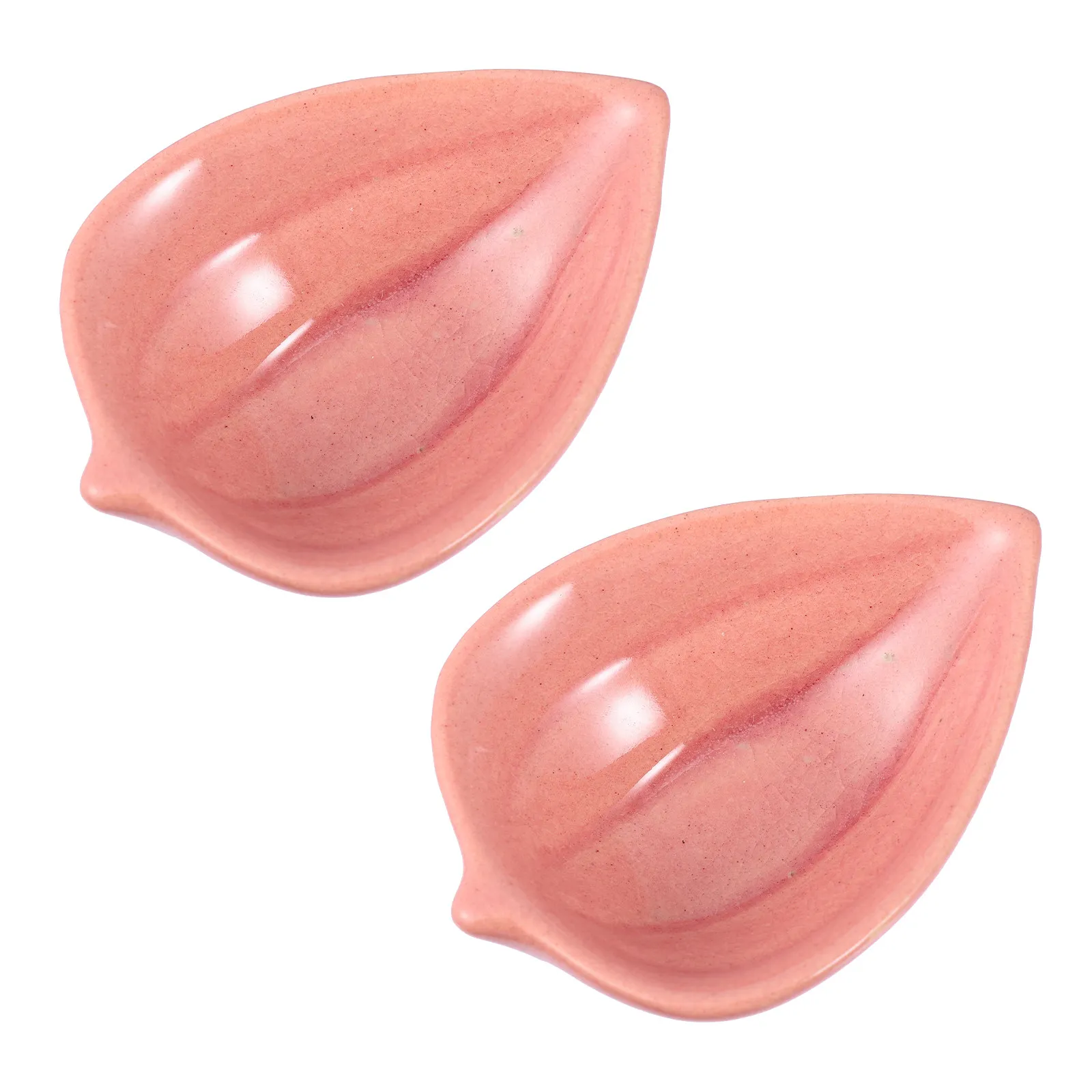 2Pcs Ceramic Dishes Essential Oil Plates Beauty Salon Supplies Aroma Therapy Storage Ceramics Dish Essential Oil Plates view 4