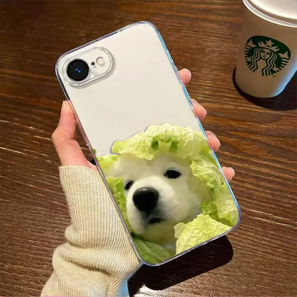 Cute Funny Dog Clea…