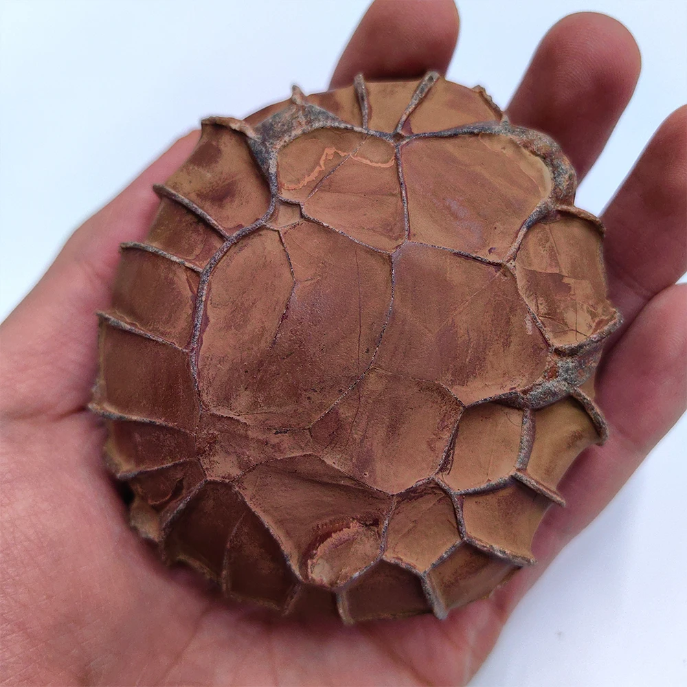 

Suiseki Stone Home Decorativas Asian Natural Stone Natural Moire Stone Crystals Stone Natural Piedras Decorativa Stone Sculpture