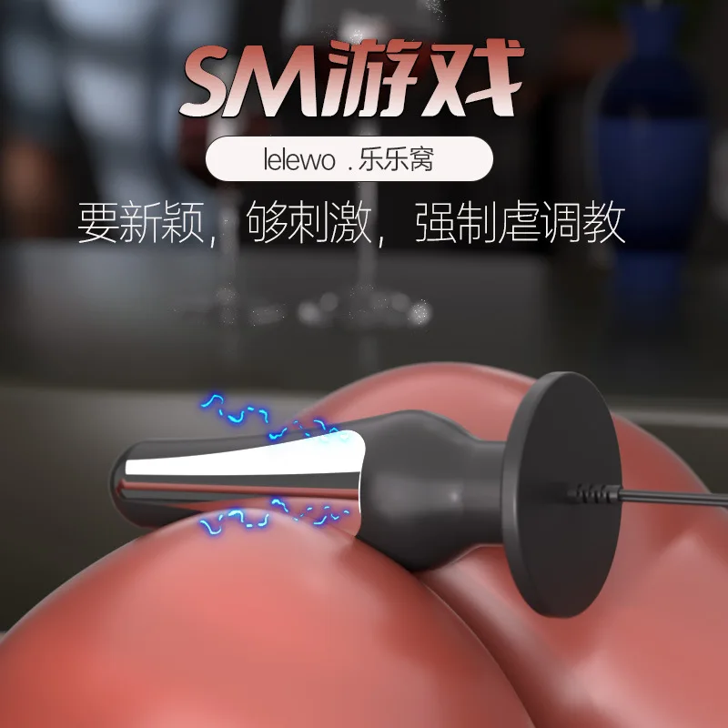 ショックニップルクランプと膣クランプssm罰小道具おもちゃツールアナルプラグダブル電極アナルペニスS