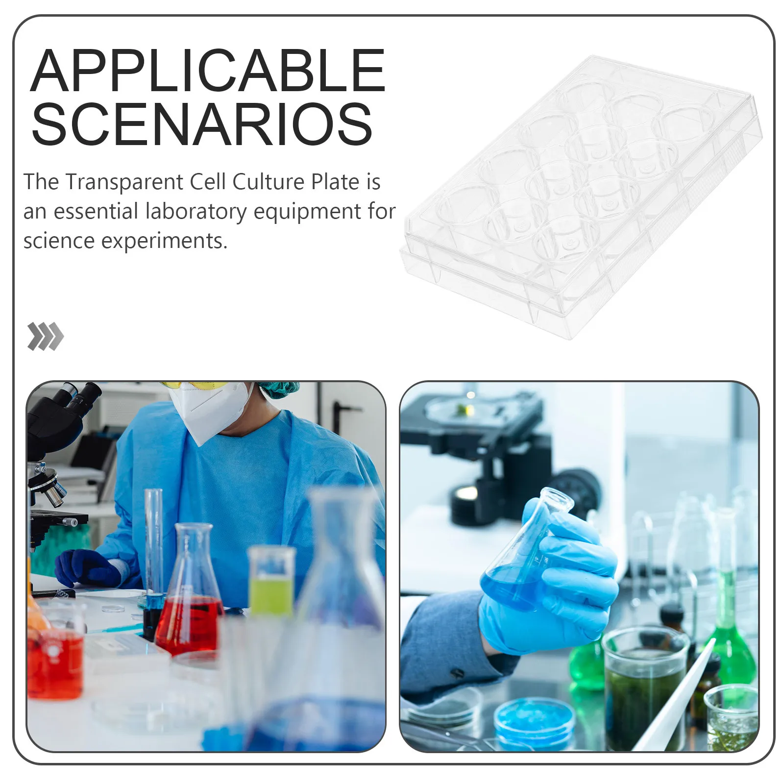 

Cell Culture Plate 12 Well Flat Surface Durable Laboratory Tissue Culture Tool Multi-Functional Cell Growth Research