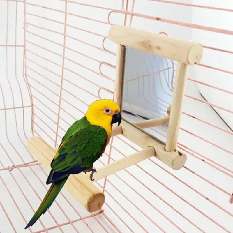 Stimulating and Engaging Durable Wooden Bird Mirror Play Toy - Interactive Perches Rack for Small Parakeet and Parrot - Enrichin