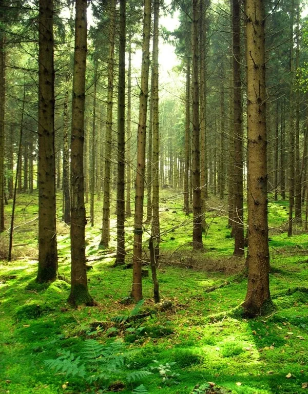 

Алюминиевые раллийные колеса для Tamiya TA02S Lancia TA02 TA07 TA02S TA02SW XV01 TT-02 Type-S HPI 4WD 1:10 RC для дрифт-гонок