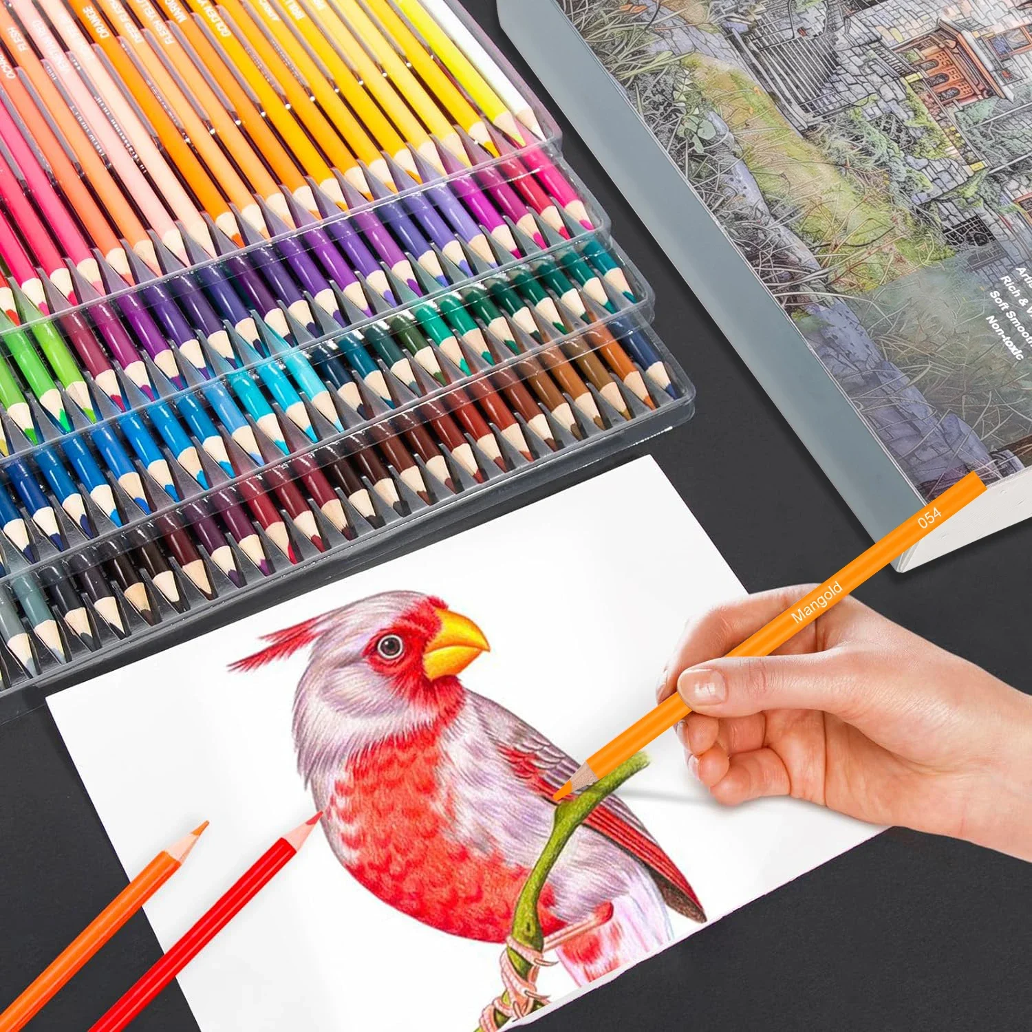 120 Count Colored Pencils for Coloring Books, Soft Core Assorted Color Pencils for Drawing Sketching Shading, Pro Art