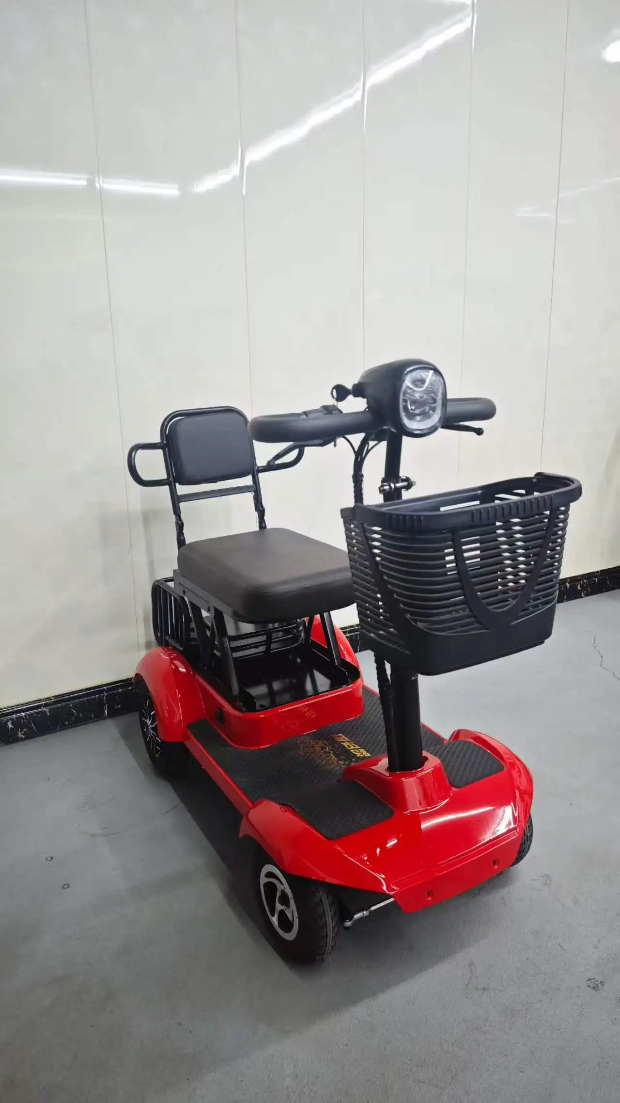 Factory New Energy Recreational Vehicle Brushless Motor 500W Lithium/Lead-Acid Battery 48V/60V 150kg Load Capacity 40km Range