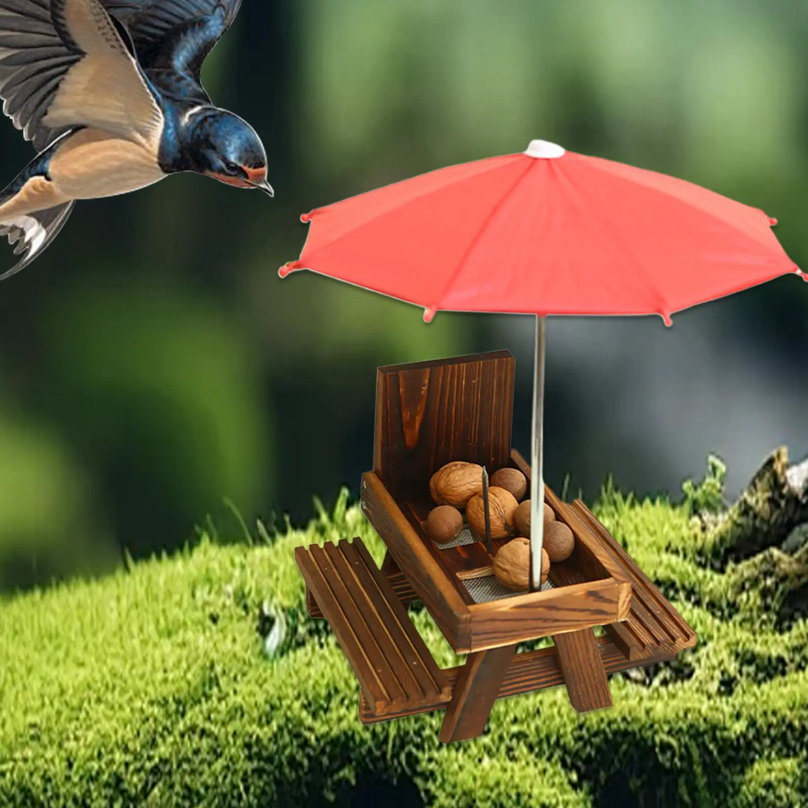 Squirrel Feeder For…