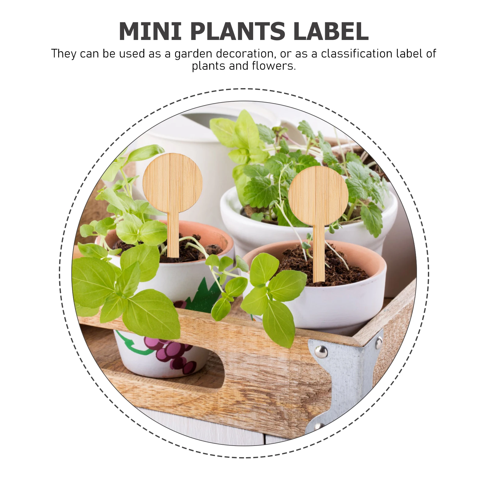

20 pcs Gardening Signs Planter Labels Round Tags Artificial Plants Indoor Mini Stakes Bamboo Material Easy Insert Wood