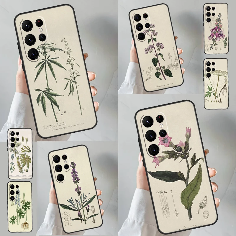 Botanical Drawings Flowers Plants Cover For Samsung Galaxy S20 FE S21 S22 S23 Ultra Note 20 S8 S9 S10 Note 10 Plus Case